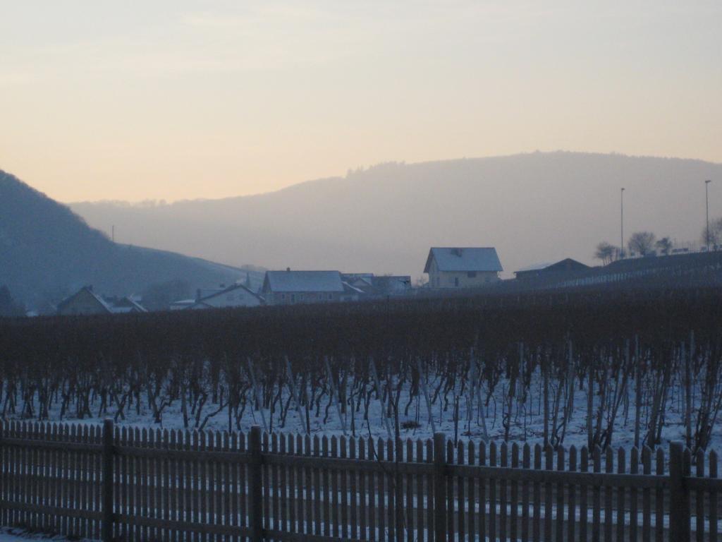 Moselschoen Das Ferienhaus Brodenbach Ruang foto