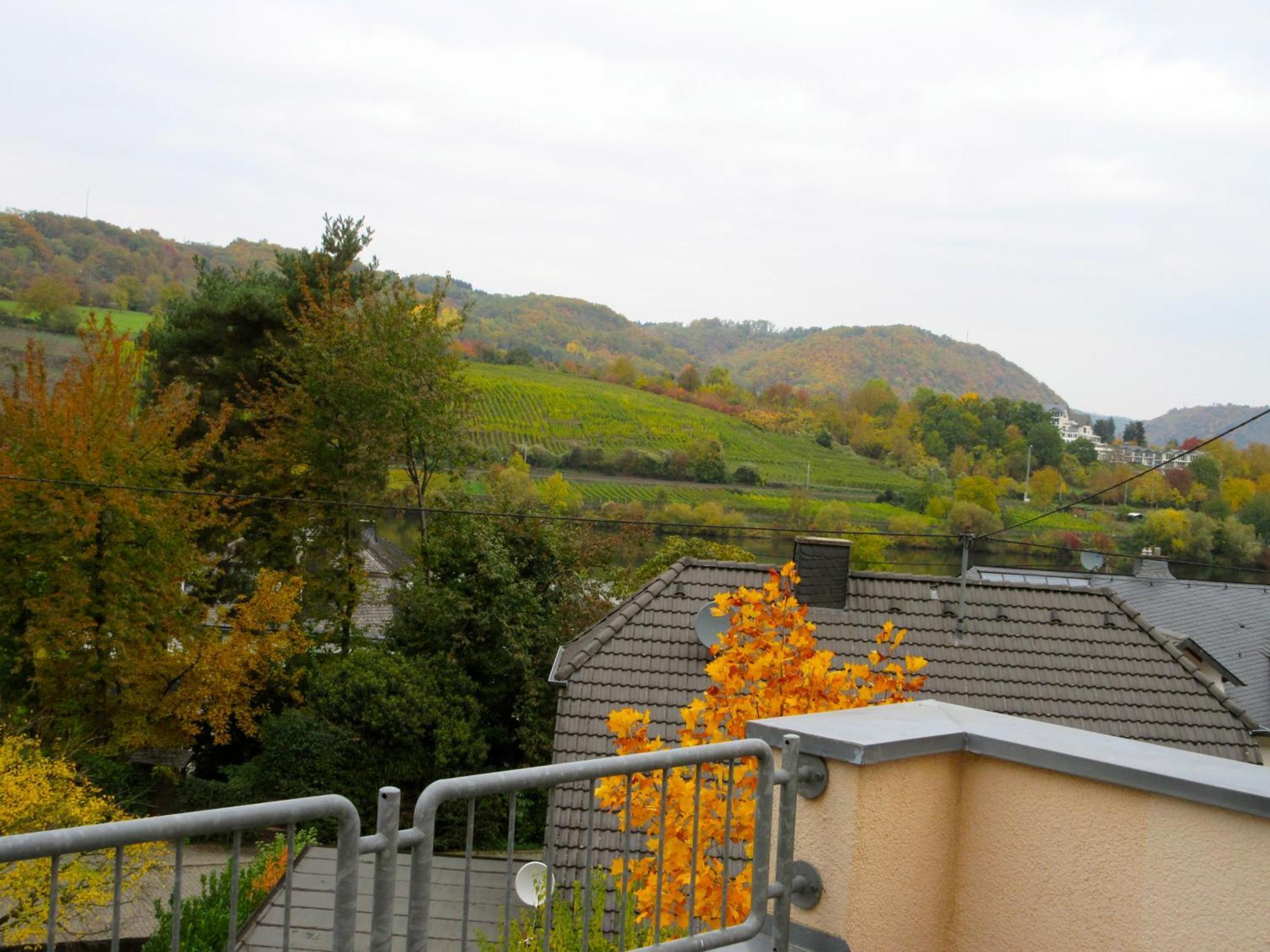 Moselschoen Das Ferienhaus Brodenbach Ruang foto