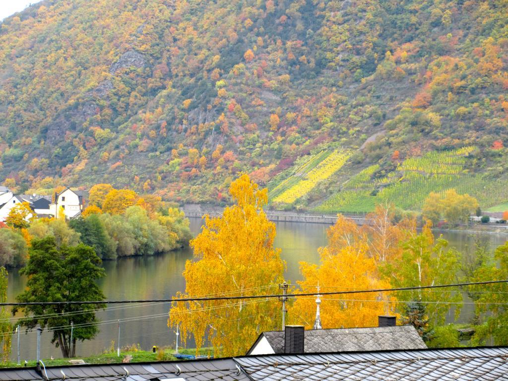 Moselschoen Das Ferienhaus Brodenbach Ruang foto
